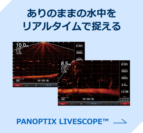 PANOPTIX LIVESCOPE&trade;
