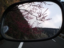 小さな春