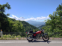 コントラスト