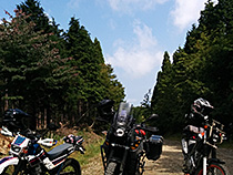 ヤマハ三兄弟