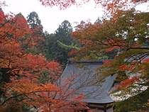 秋の始まり
