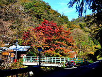 原風景・秋