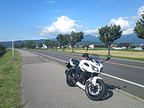 いなか