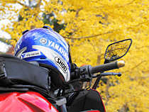 紅葉の下で