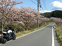 山里の遅い春