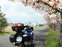 小川の畔で