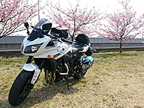 初めての春