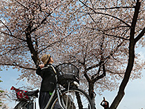 春のたのしみ