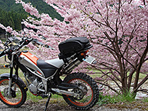越知川の河原