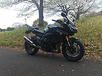 初めての春…