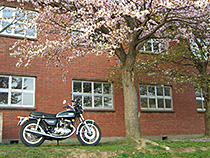 TX750と桜