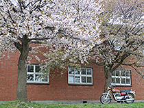 ＸＳ650Eと桜