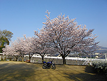 ある日の出勤