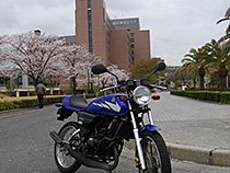 ある日の出勤