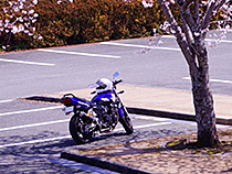 休息