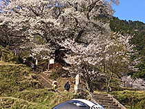 和の風景