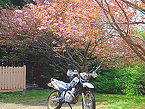 春の終わりに